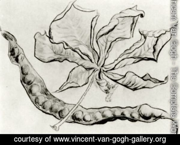 Vincent Van Gogh - Dead Leaf and Pod