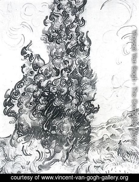Vincent Van Gogh - Cypresses 5