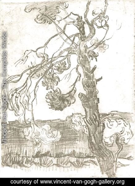 Vincent Van Gogh - A Weather-Beaten Pine Tree