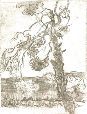 Vincent Van Gogh - A Weather-Beaten Pine Tree
