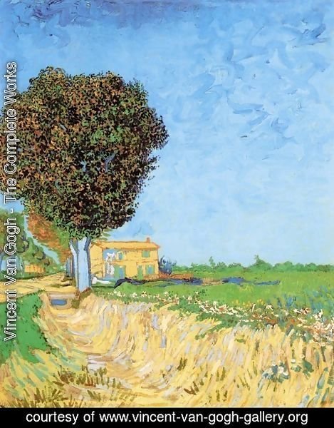 Vincent Van Gogh - A Lane near Arles