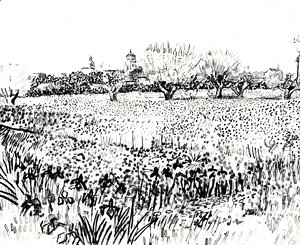 Field with Flowers