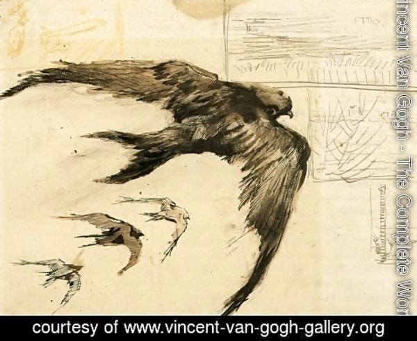Vincent Van Gogh - Four Swifts with Landscape Sketches
