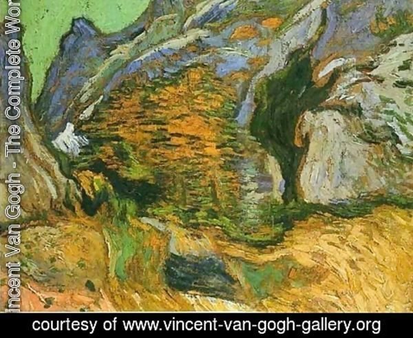 Vincent Van Gogh - The gully Peiroulets 2