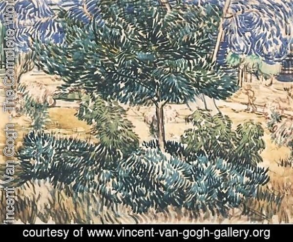 Vincent Van Gogh - Trees and Shrubs 2