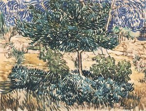 Vincent Van Gogh - Trees and Shrubs 2