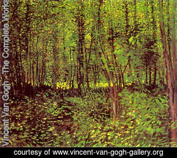 Vincent Van Gogh - Trees and Undergrowth 3