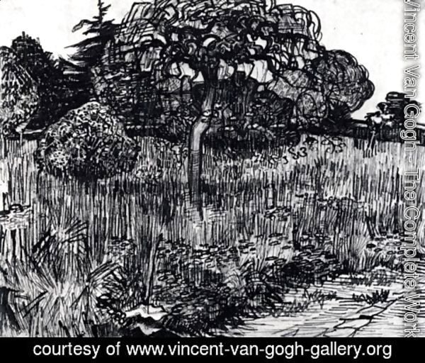 Vincent Van Gogh - The Park at Arles