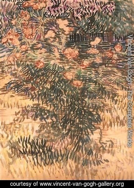 Vincent Van Gogh - Oleanders, the Hospital Garden at Saint-Remy