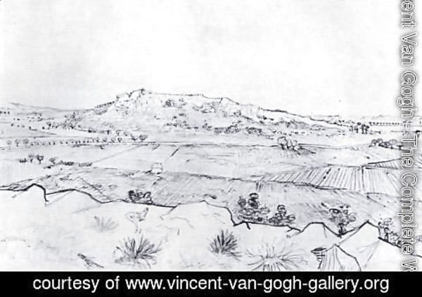 Vincent Van Gogh - La Crau