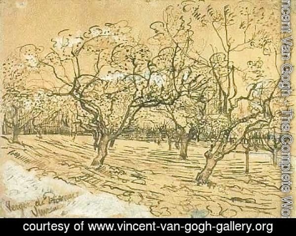 Vincent Van Gogh - Orchard with Blossoming Plum Trees (The White Orchard)