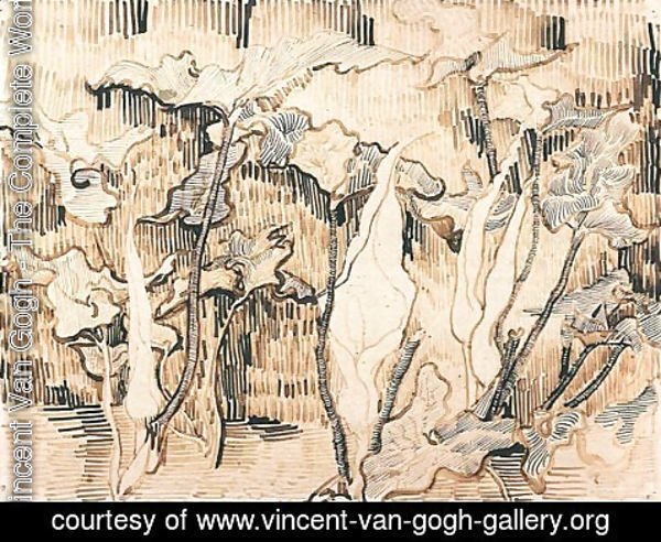 Vincent Van Gogh - Arums