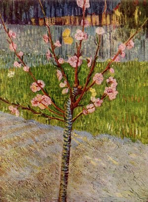 Vincent Van Gogh - Almond Tree In Blossom