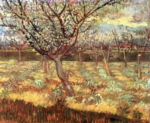 Vincent Van Gogh - Apricot Trees In Blossom II