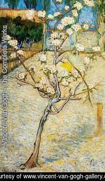 Vincent Van Gogh - Blossoming Pear Tree