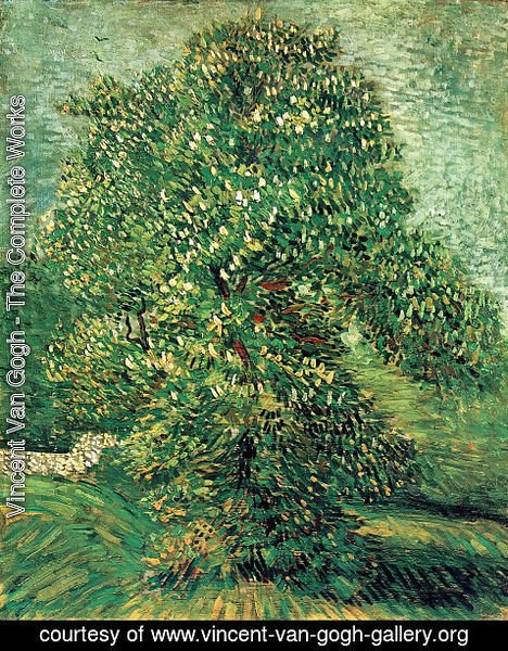 Vincent Van Gogh - Chestnut Tree In Blossom II