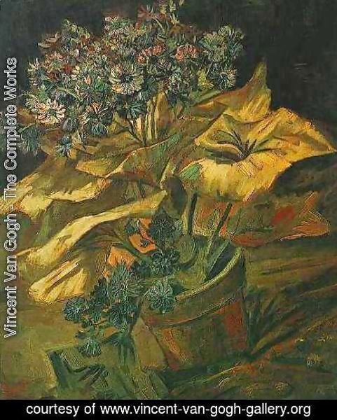 Vincent Van Gogh - Cineraria In A Flowerpot