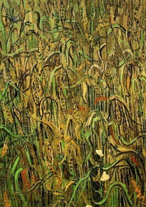 Vincent Van Gogh - Ears Of Wheat