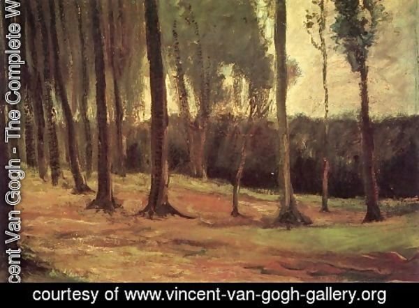 Vincent Van Gogh - Edge Of A Wood