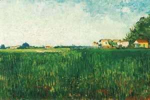 Farmhouses In A Wheat Field Near Arles