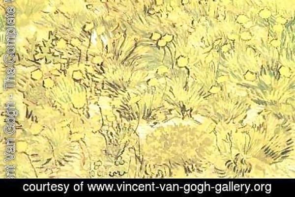 Vincent Van Gogh - Field Of Yellow Flowers A