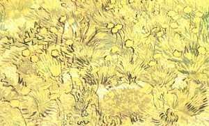Vincent Van Gogh - Field Of Yellow Flowers A