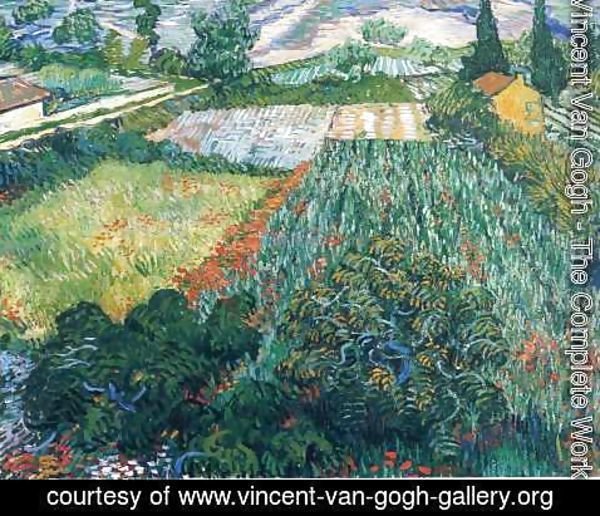 Vincent Van Gogh - Field With Poppies II