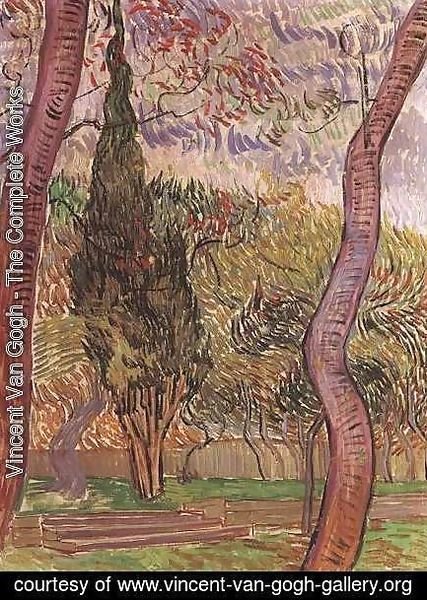 Vincent Van Gogh - Garden Of Saint Paul Hospital The IV