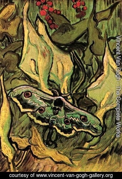 Vincent Van Gogh - Great Peacock Moth