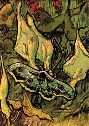 Vincent Van Gogh - Great Peacock Moth