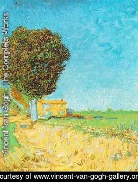 Vincent Van Gogh - Lane Near Arles A