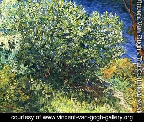 Vincent Van Gogh - Lilacs II
