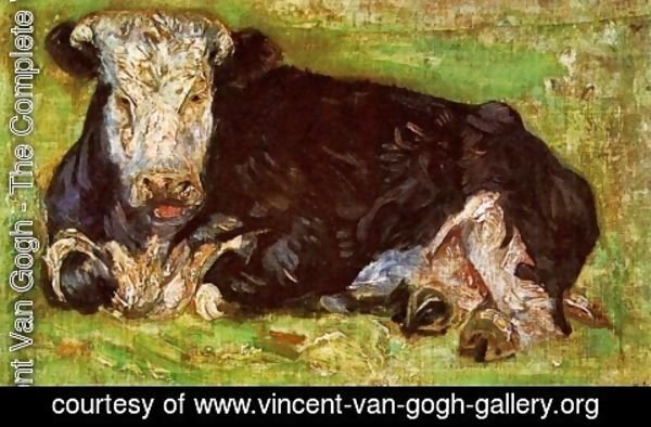 Vincent Van Gogh - Lying Cow