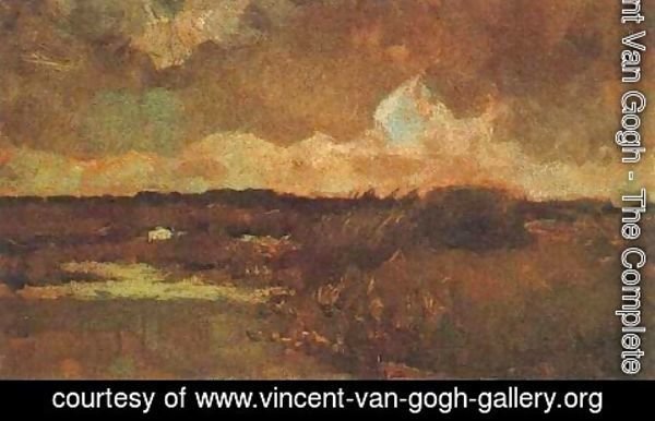 Vincent Van Gogh - Marshy Landscape