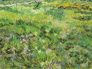 Vincent Van Gogh - Meadow In The Garden Of Saint Paul Hospital