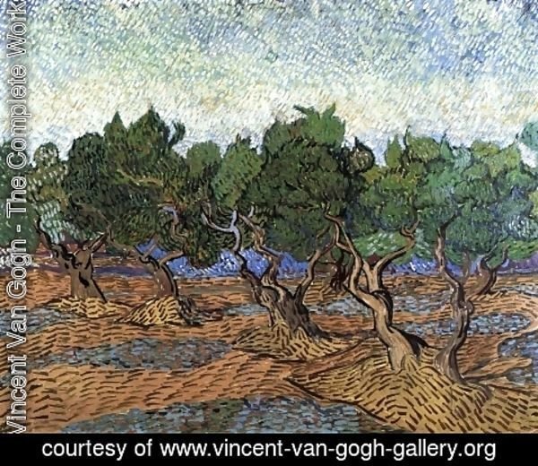 Vincent Van Gogh - Olive Grove III