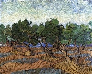 Vincent Van Gogh - Olive Grove III