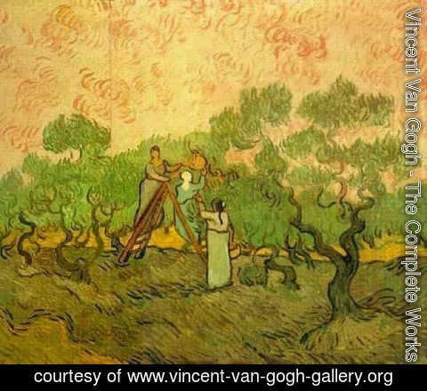 Vincent Van Gogh - Olive Picking II