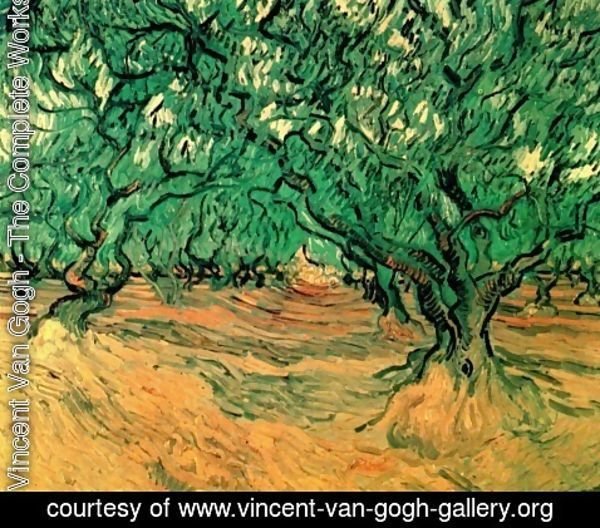 Vincent Van Gogh - Olive Trees