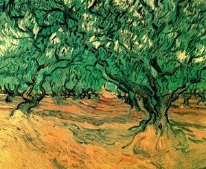Vincent Van Gogh - Olive Trees