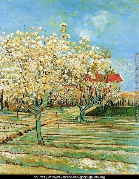Orchard In Blossom II
