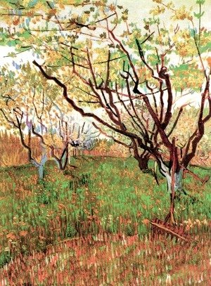 Vincent Van Gogh - Orchard In Blossom III