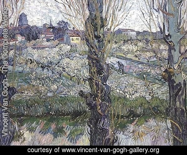 Orchard In Blossom With View Of Arles