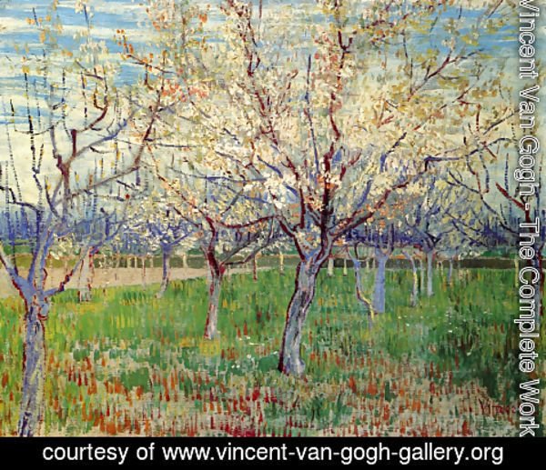 Vincent Van Gogh - Orchard With Blossoming Apricot Trees