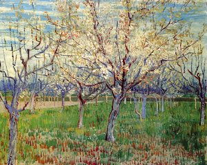 Vincent Van Gogh - Orchard With Blossoming Apricot Trees