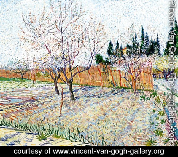 Vincent Van Gogh - Orchard With Peach Trees In Blossom II