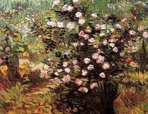 Vincent Van Gogh - Rosebush In Blossom