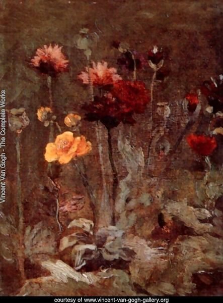 Still Life With Scabiosa And Ranunculus
