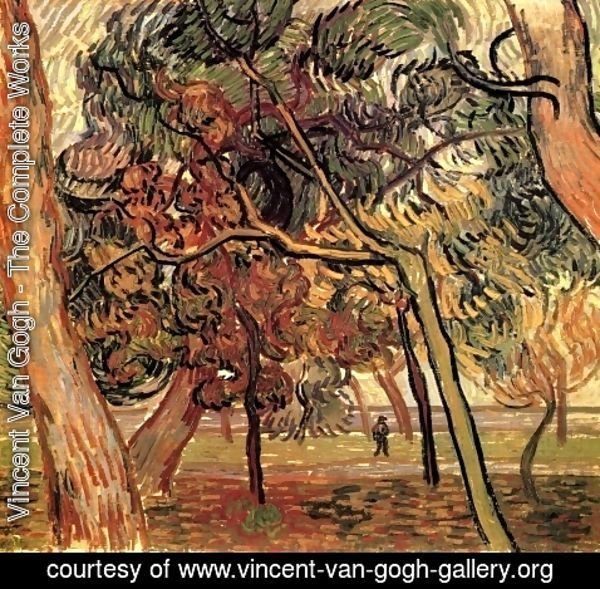 Vincent Van Gogh - Study Of Pine Trees
