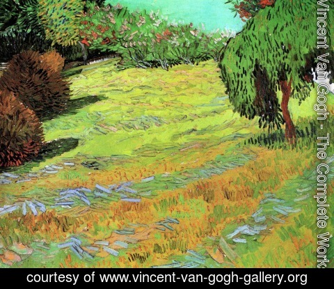 Vincent Van Gogh - Sunny Lawn In A Public Park